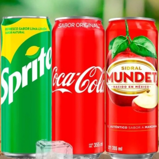 REFRESCOS LATA 355ml.