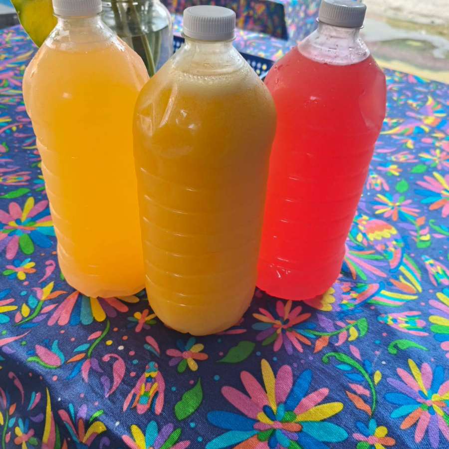 Jugos Naturales de 1lt