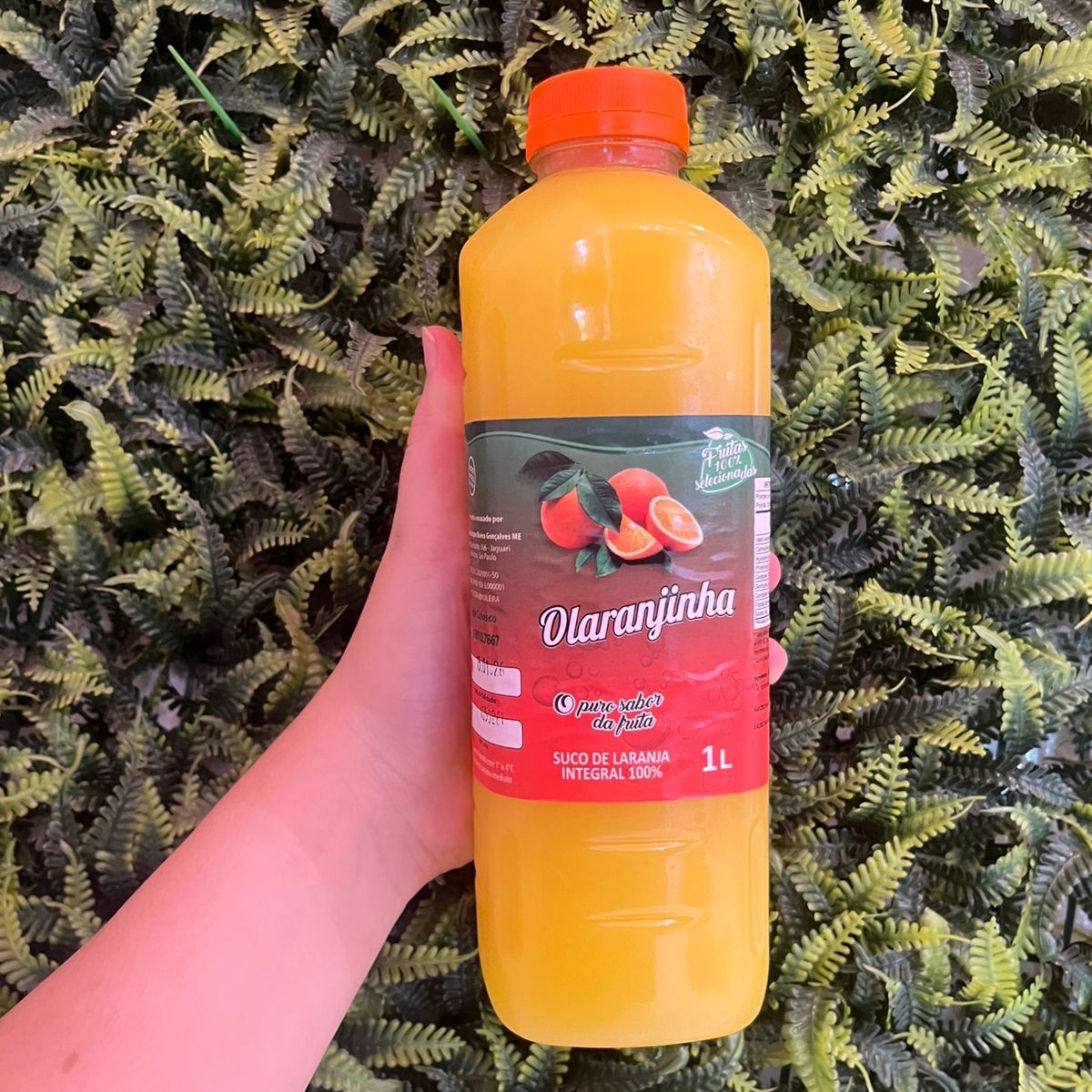 Suco de laranja integral Laranja O Puro Sabor da Fruta