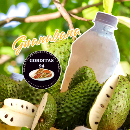 Agua de Guanabana 500ml