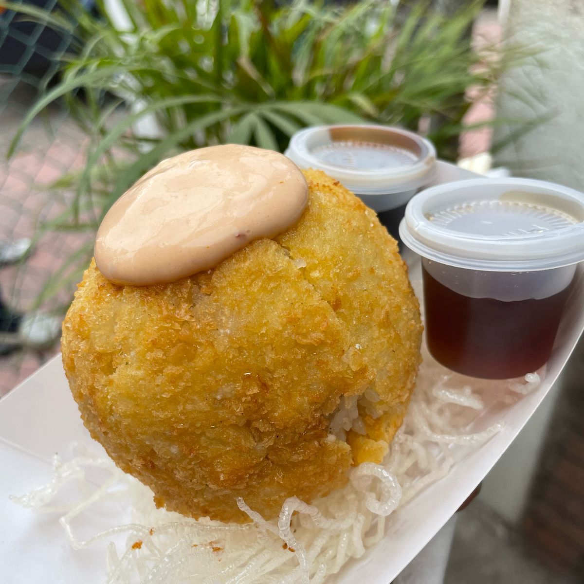 Sushi Ball