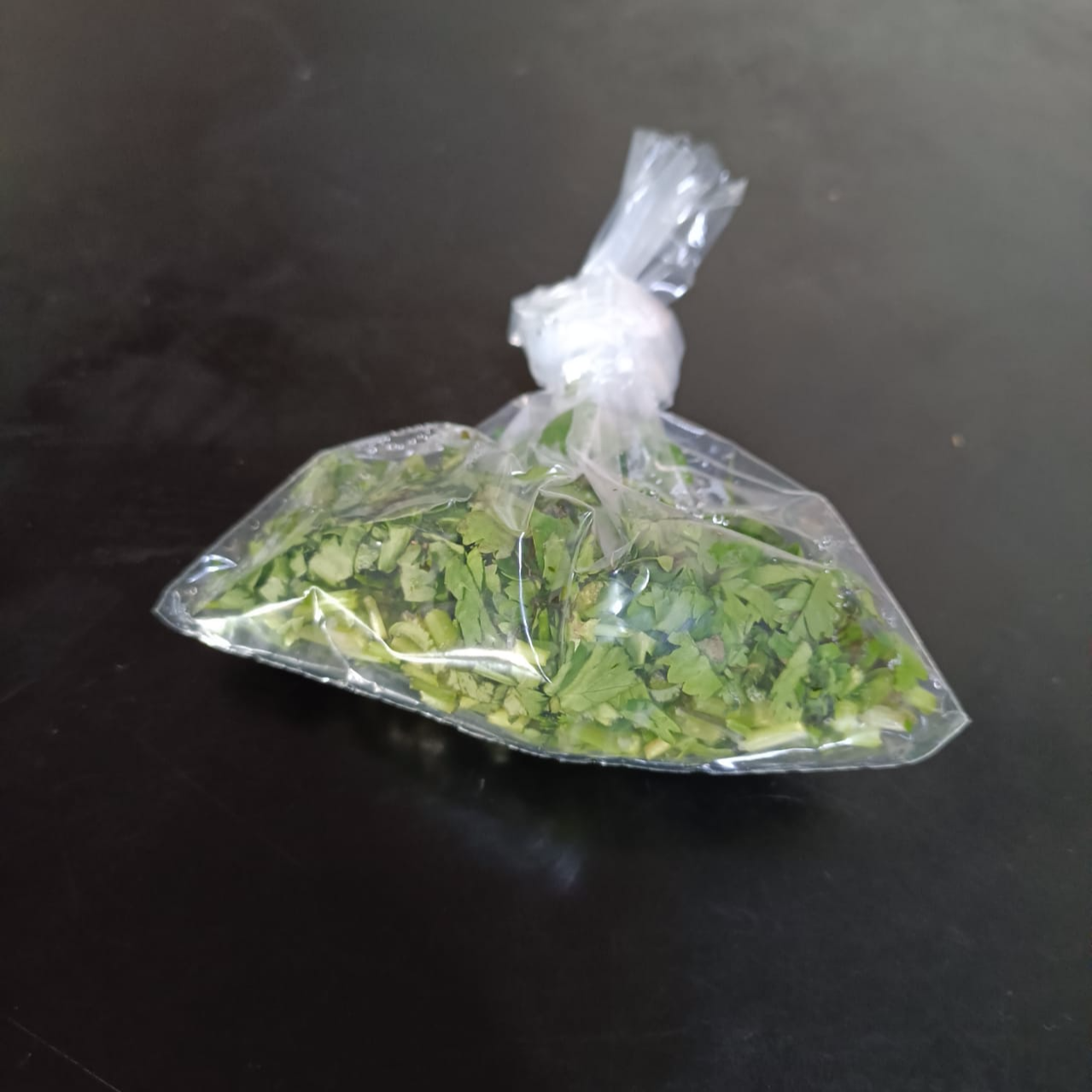 Cilantro Extra
