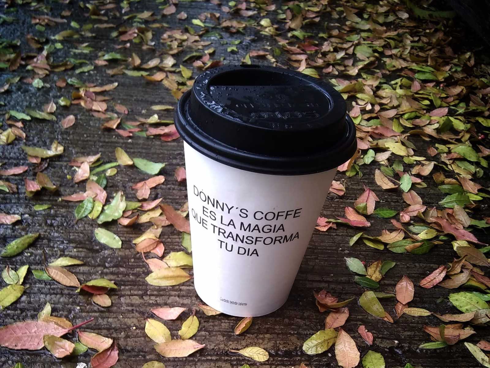 Sandwich y Café Americano