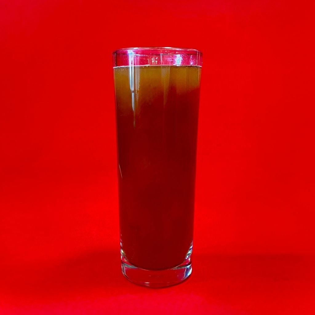 AGUA DE TAMARINDO 500 ml