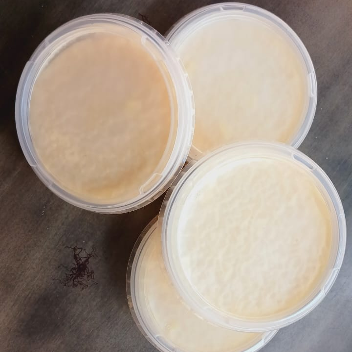Arroz con Leche Cremoso 8 oz