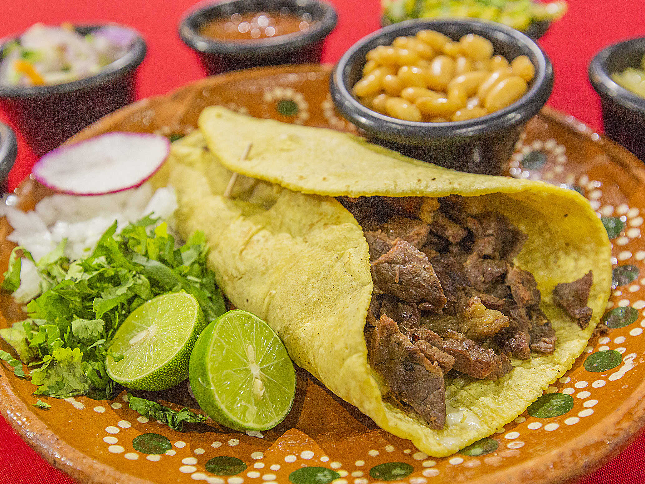Gringa de Arrachera