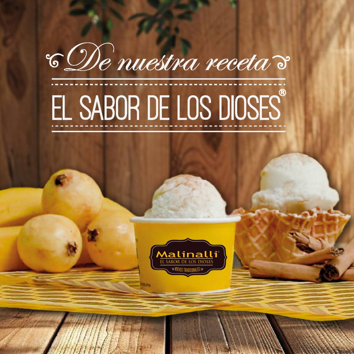 Medio Litro de Nieve Especialidades