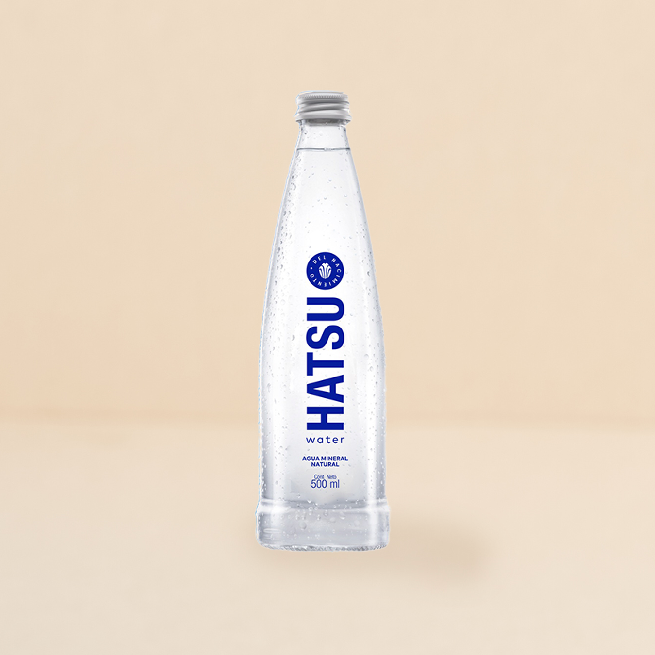 Agua sin gas 300ml