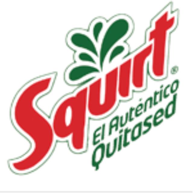 SQUIRT LIGHT 355 ML