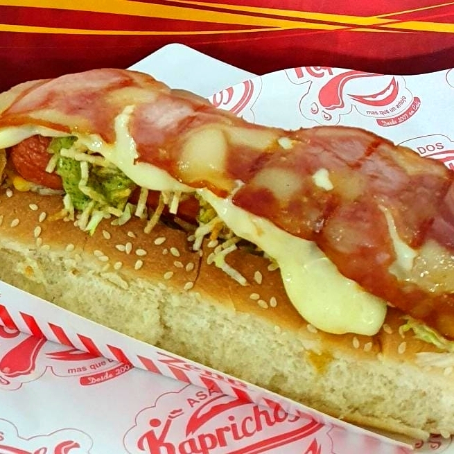 Perro Americano