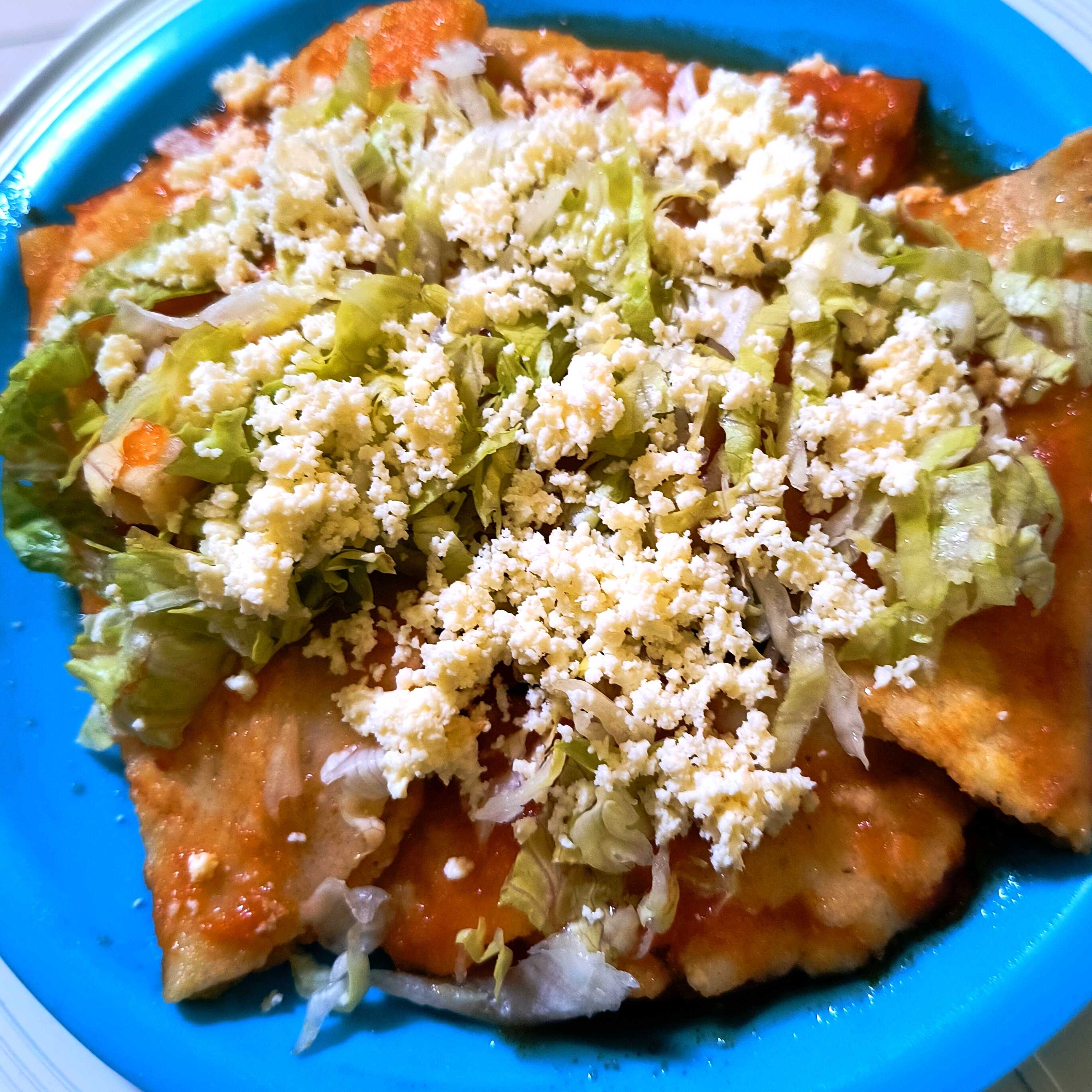 Enchiladas Veracruzanas