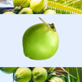 Ele chega para você fechado, mas já pré-cortado, bem fácil de abrir e tomar na hora!