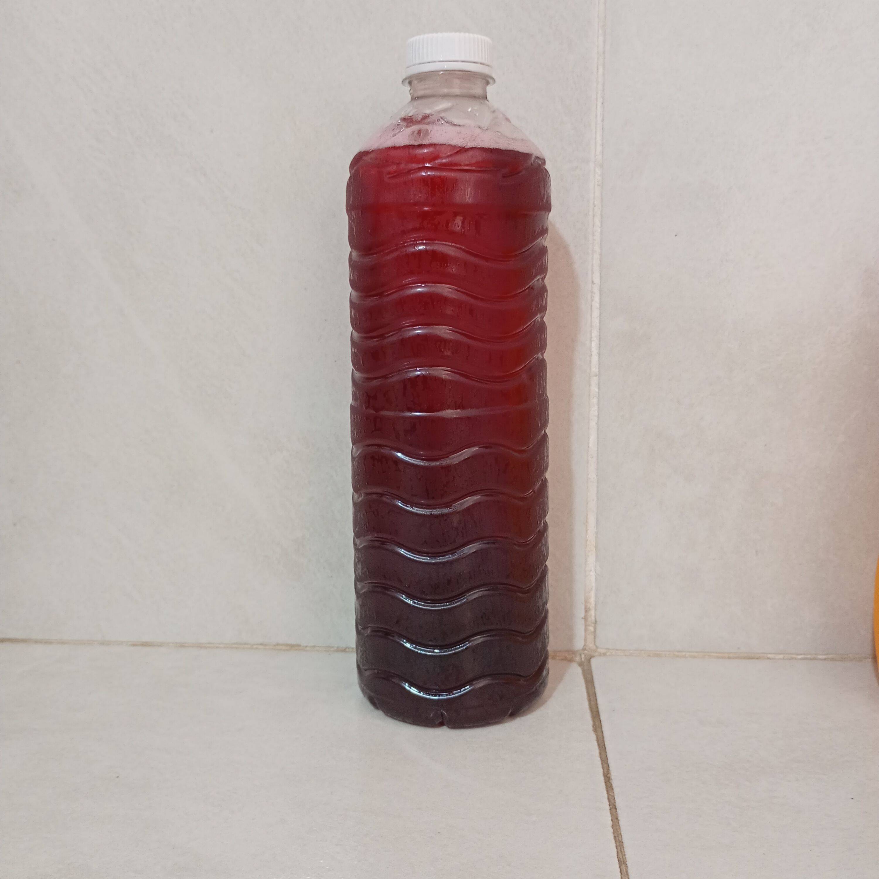 Agua de Jamaica