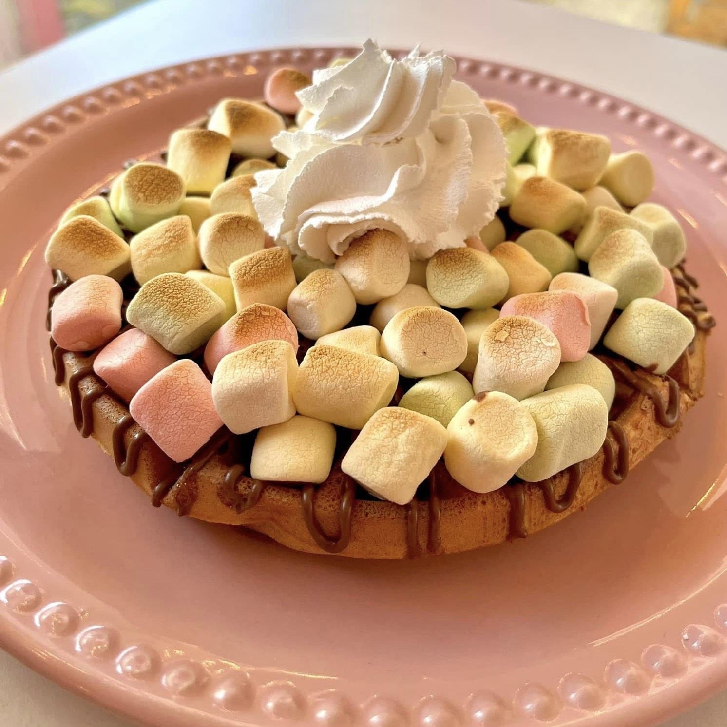 Waffle S'More