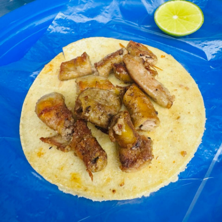 Tripa