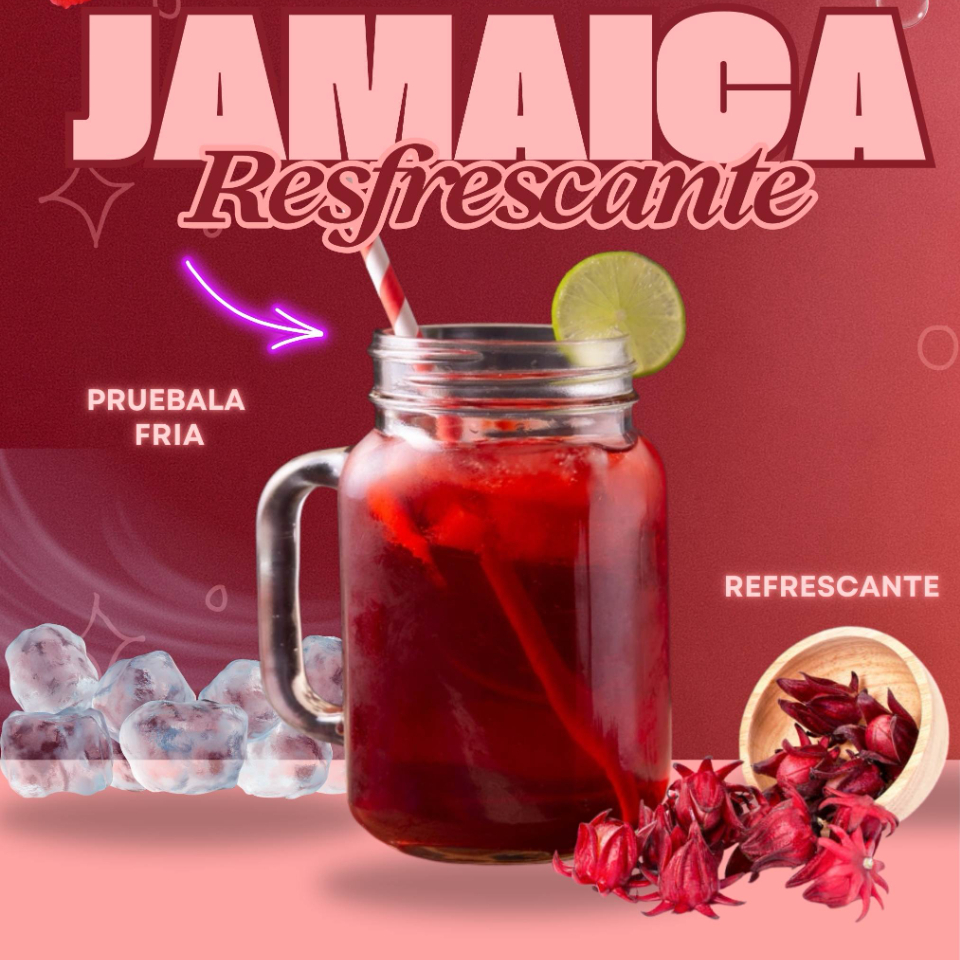 1 LT Agua de Jamaica