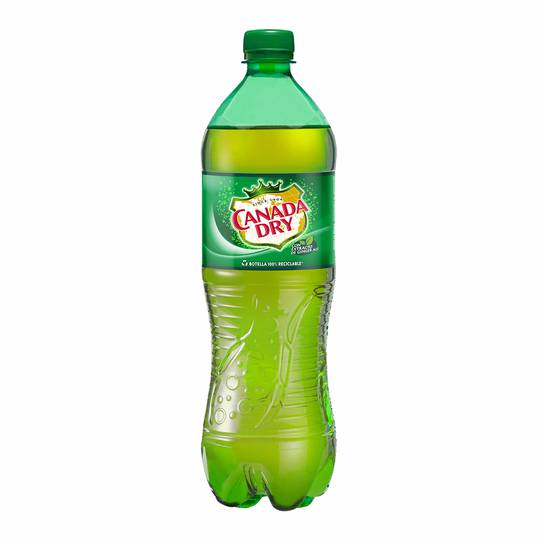 Canada Dry Ginger Ale 600 ml