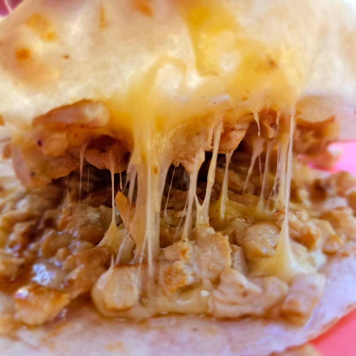 Gringa de Pollo