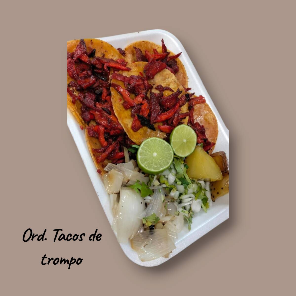 Taco de Trompo