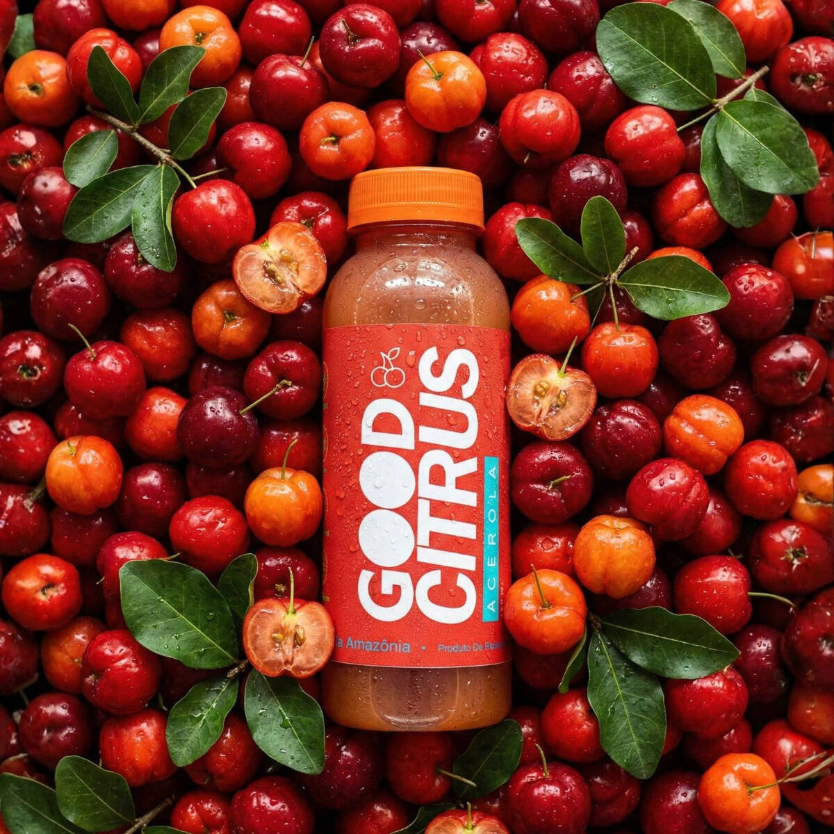 Suco acerola: Frescor e Saúde em Cada Gole! Experimente a verdadeira essência da natureza com nosso suco acerola de 300ml. Pasteurizado para preservar nutrientes e garantir segurança, possui validade de 3 meses, sem conservantes. Uma opção natural, refrescante e saudável para o seu Dia a Dia.