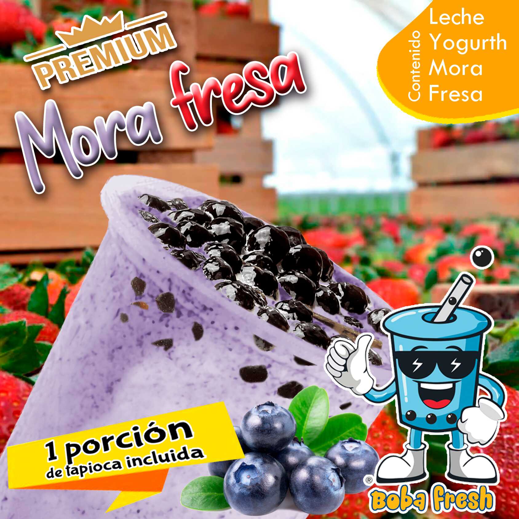 Yogurt Mora Fresa