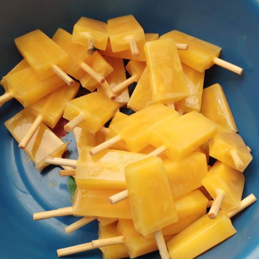 PALETA CIRUELA