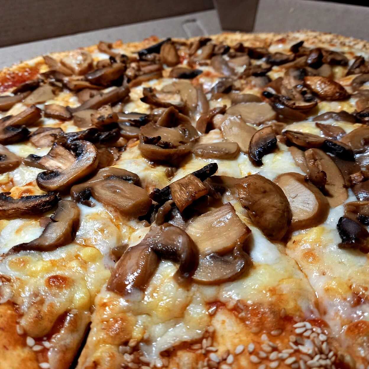 DOBLE CHAMPIÑONES (Pizza Grande 10 Rebanadas)
