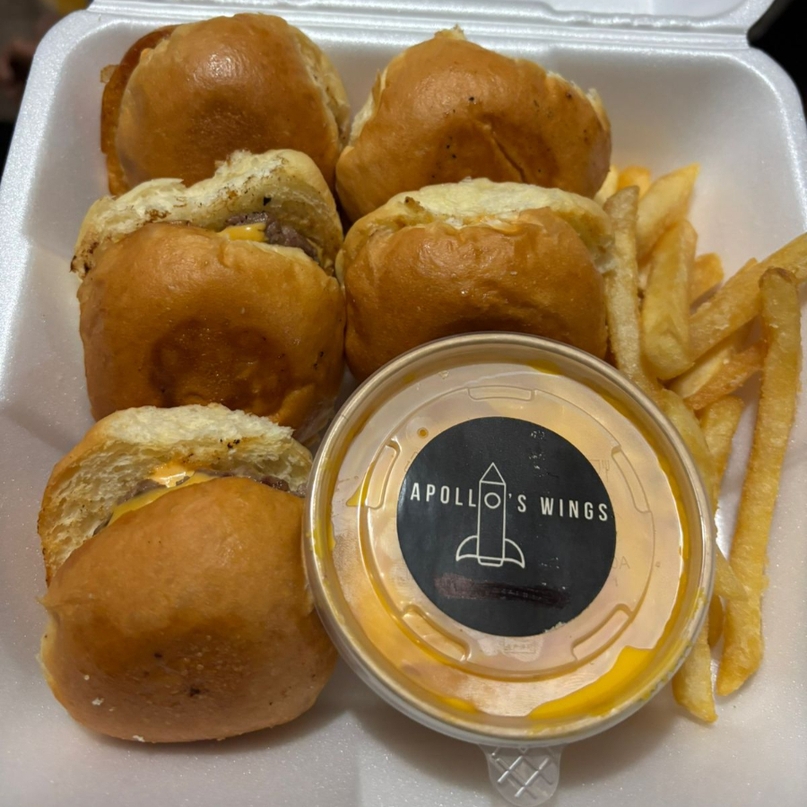 Mini Sliders