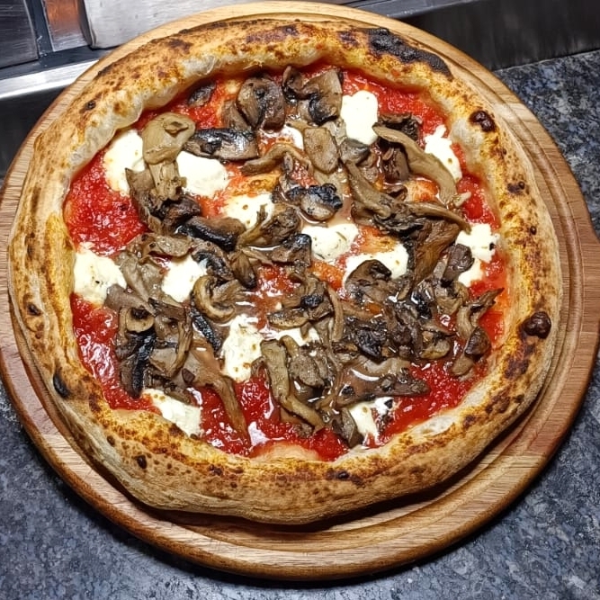Hongos