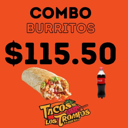 Combo Burrito