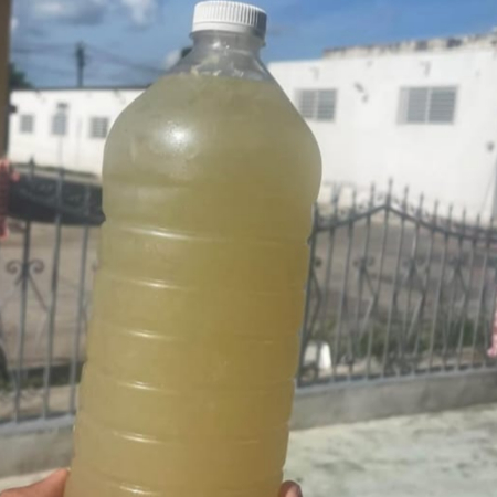 Agua de naranja agria 1L