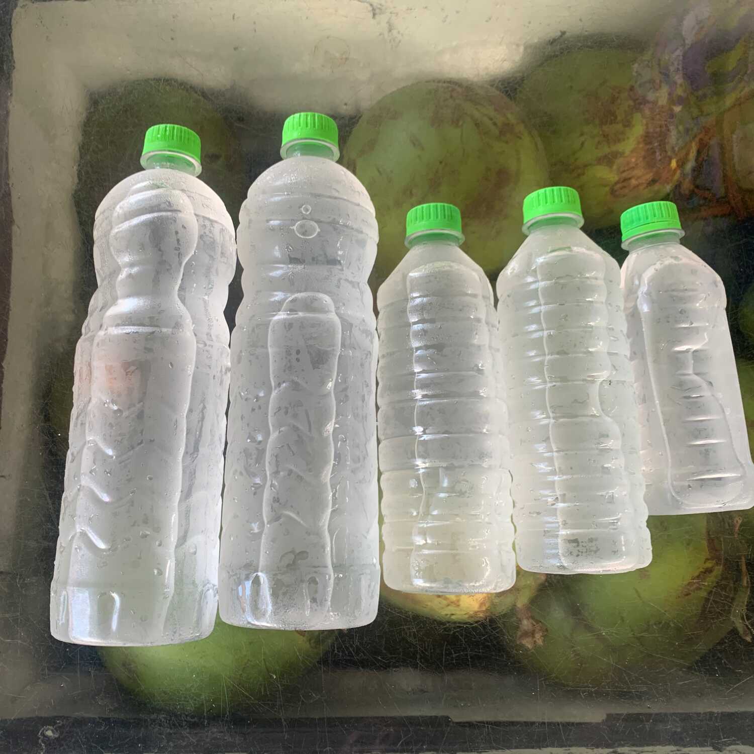 Pra toda a família 4 garrafas de água de coco