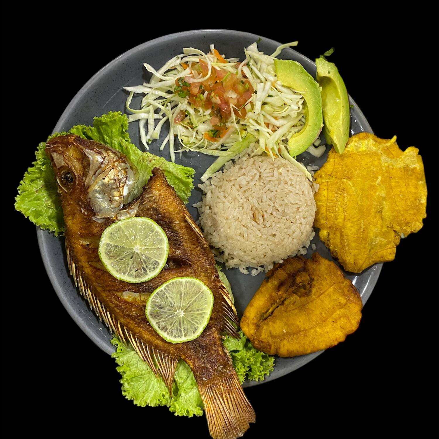 Tilapia Belga