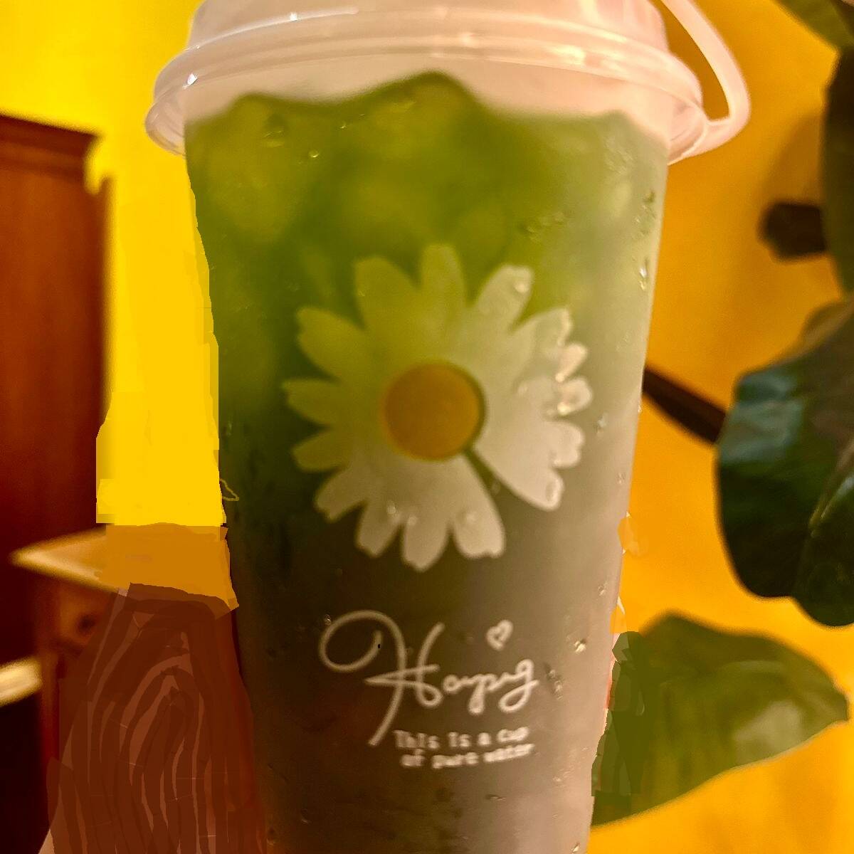 Té Thailand Verde con Bobo grande