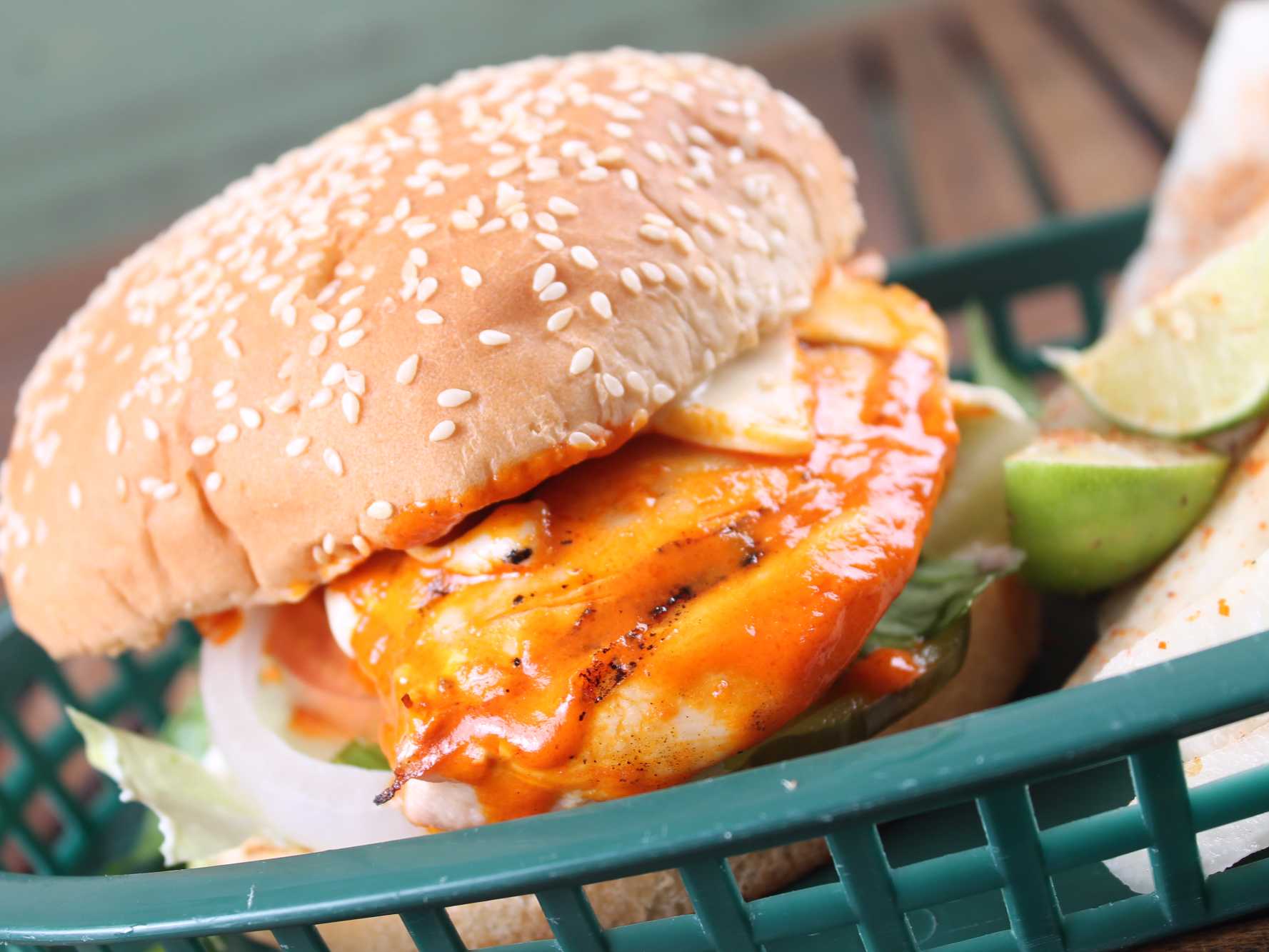 Grill-Oso Sandwich