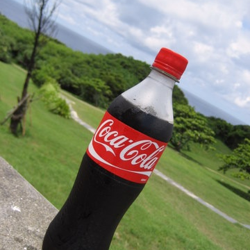 EL COCON