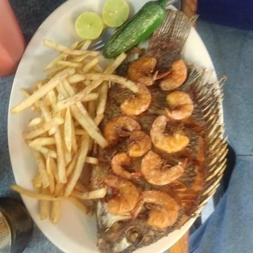 MOJARRA