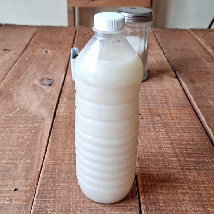 Horchata 500 Ml