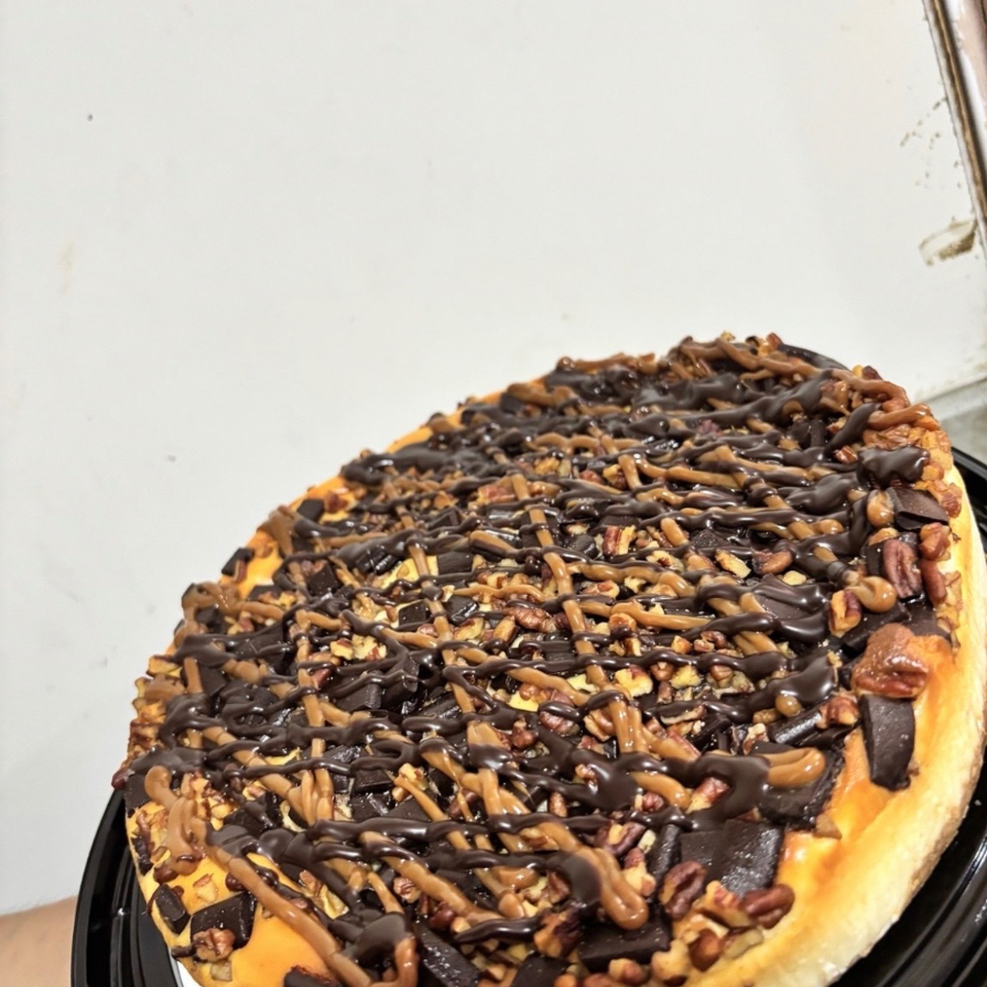 Cheesecake Tortuga