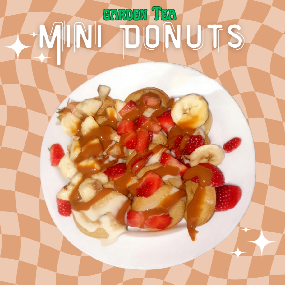 MINI DONAS (15pz)