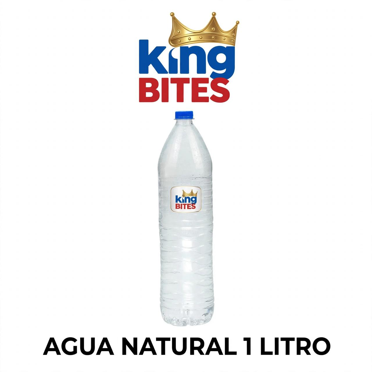Agua Natural 1 Lt