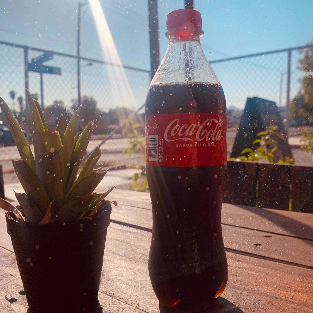 Coca Cola