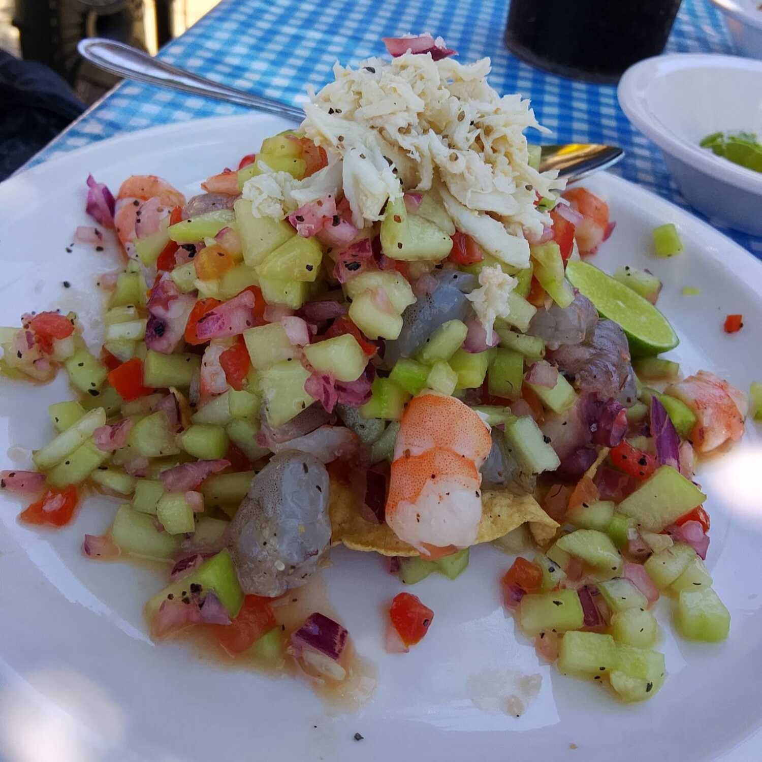 TOSTADA SANTO MAR