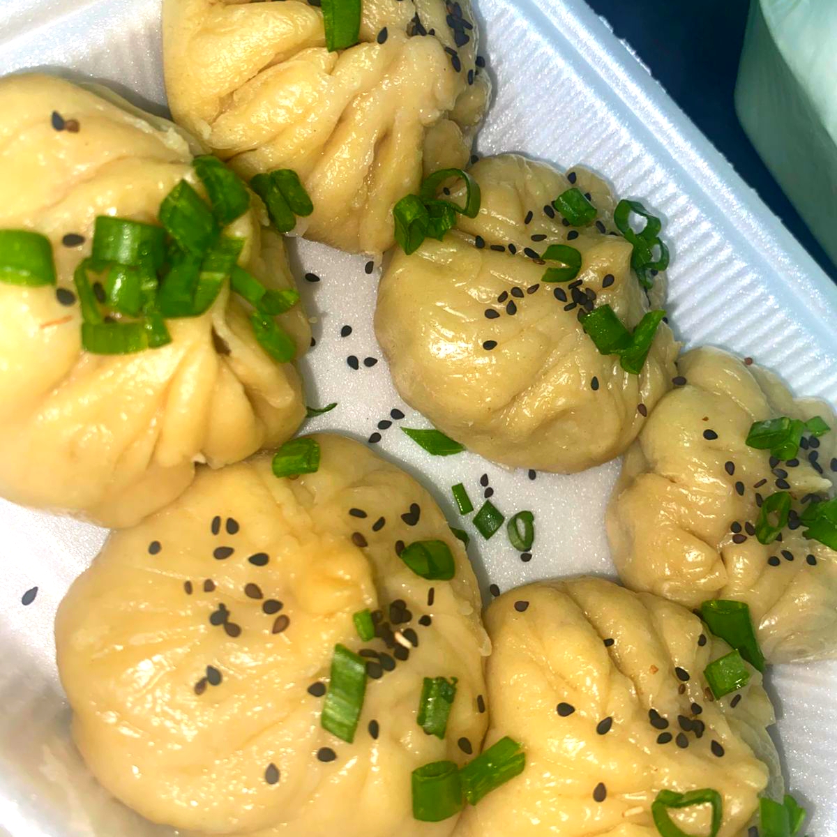 Dumpling's con Carne de Res