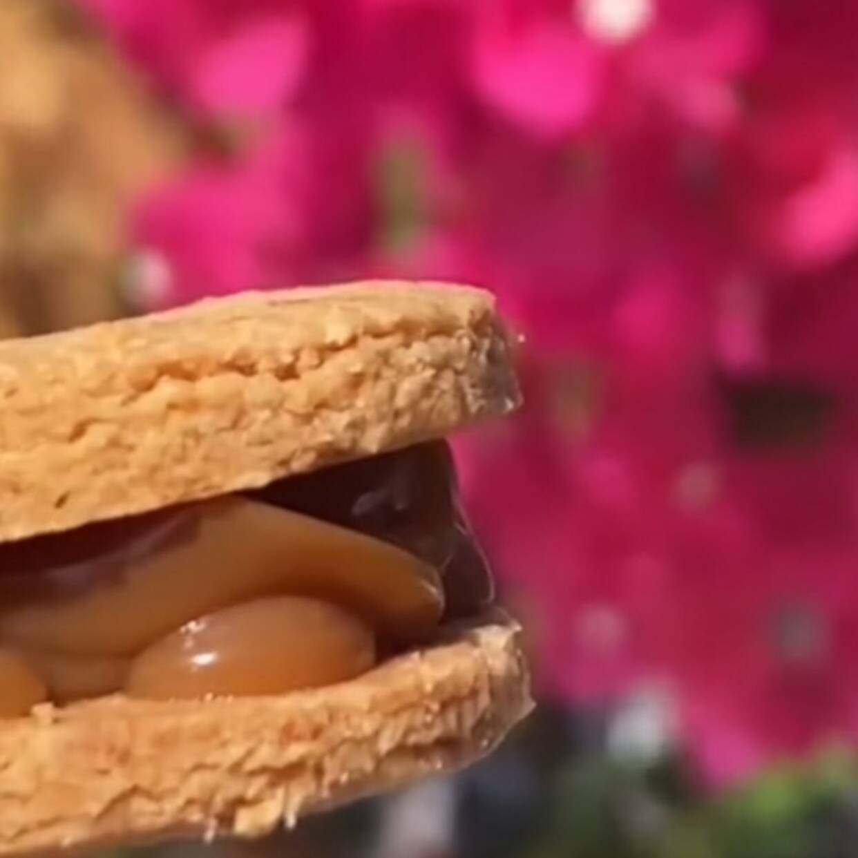 Alfajores Gluten Free X8 Unidades