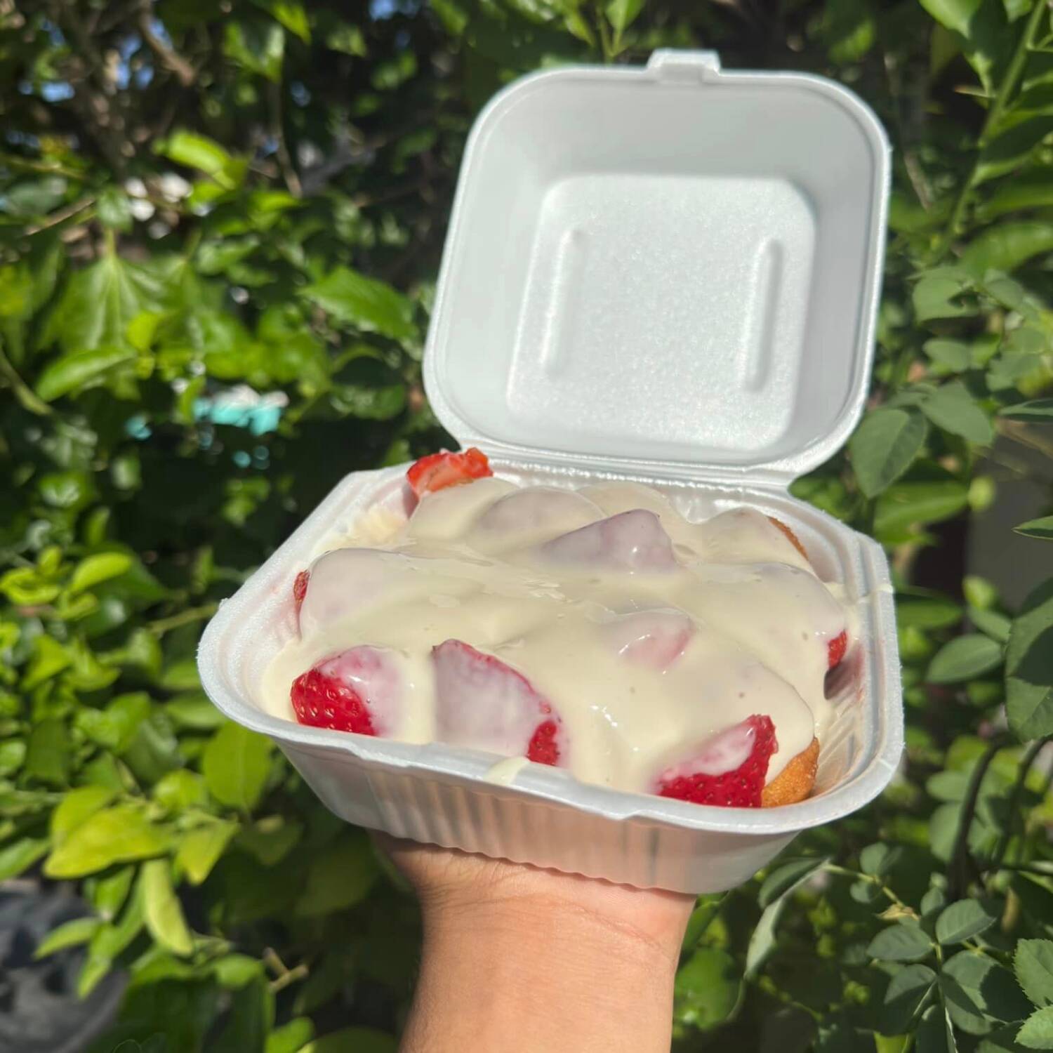 Fresas Domo Grande