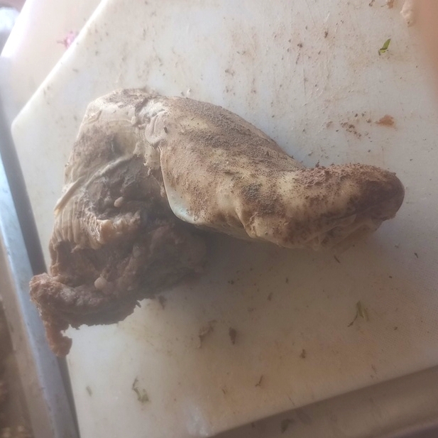 Taco de Lengua
