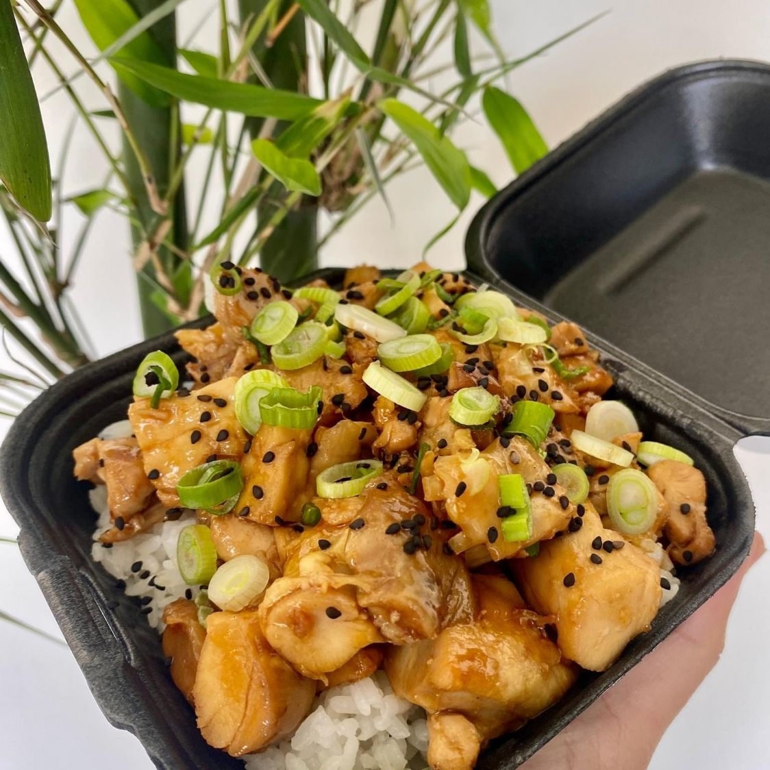 Teriyaki de Pollo