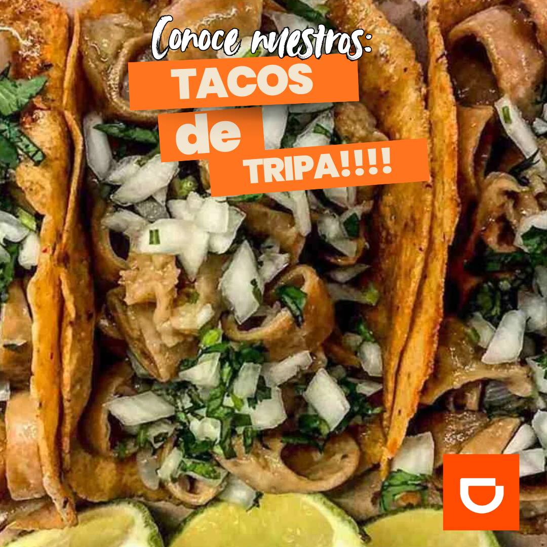 Taco de Tripa