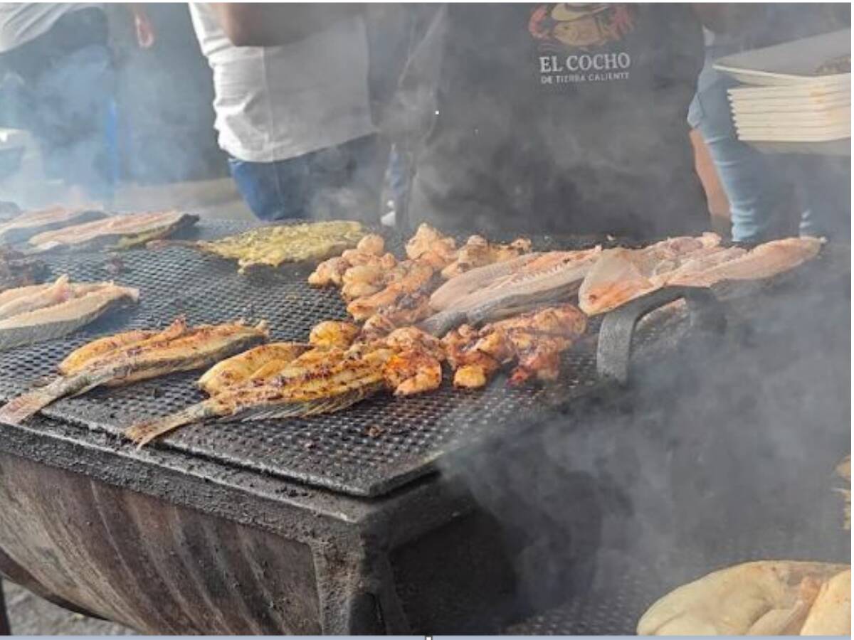 El cocho de Tierra caliente 1